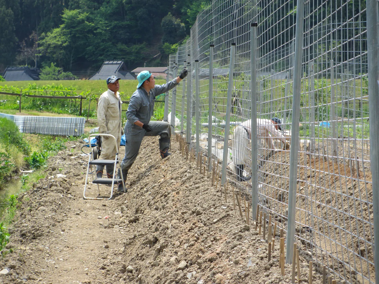 厳しい環境での育成で粘りを出す