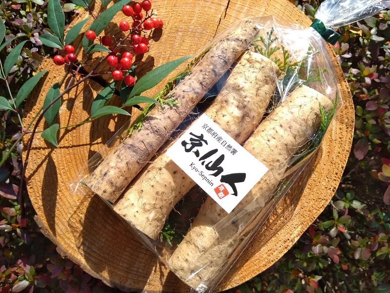 京都府産自然薯 京仙人